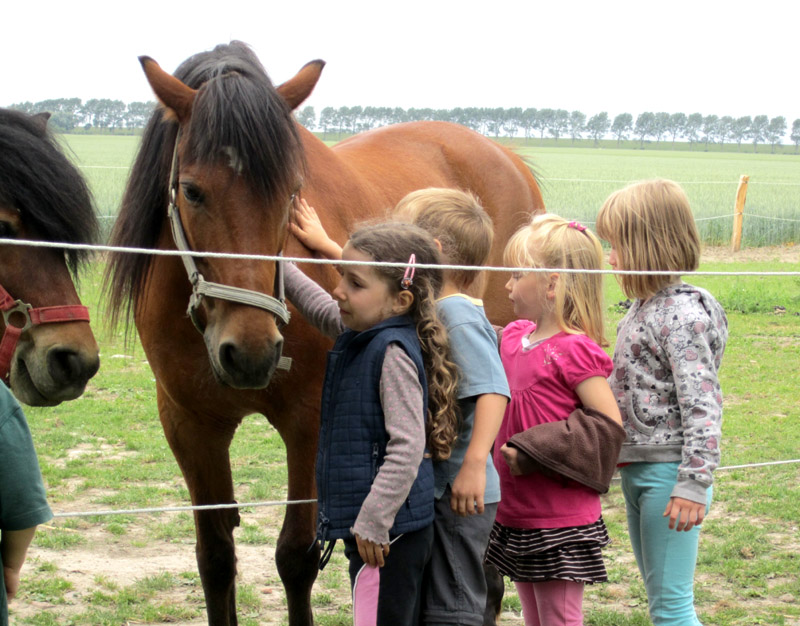 Pferde mit Kindern - Bauernhof Andressen